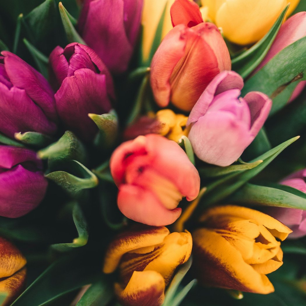 Sunshine and Flowers Spring Luncheon 1