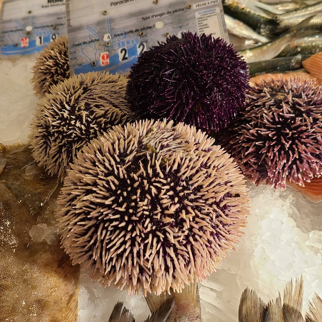 Colony Market 1