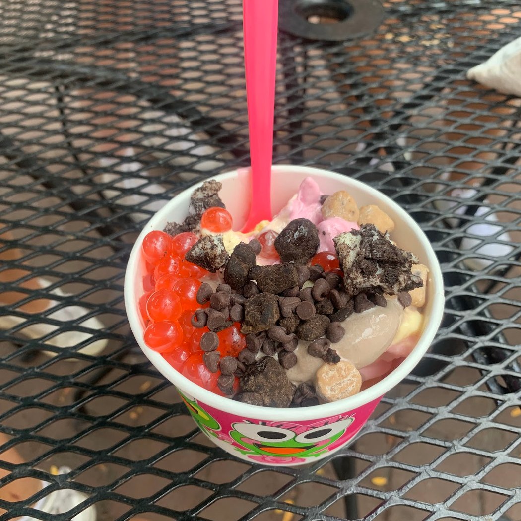 Sweet Frog Poughkeepsie 2