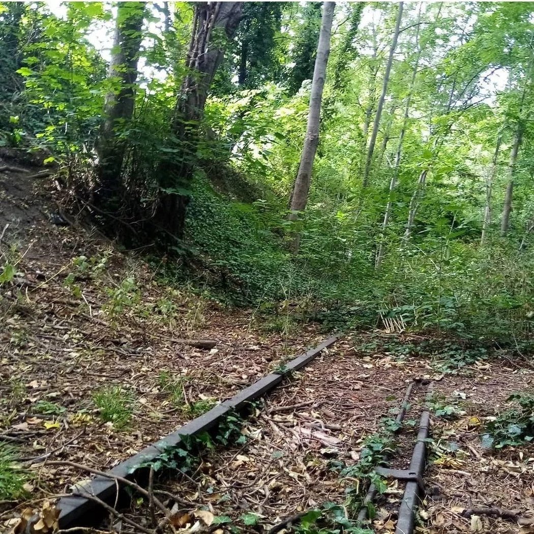 La Coulée Verte 2