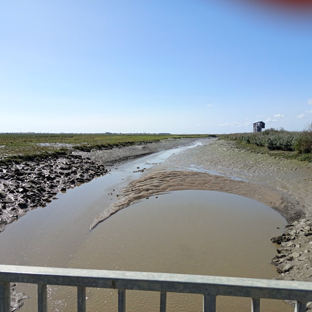 Sentier du Syl au Trou Bleu 3