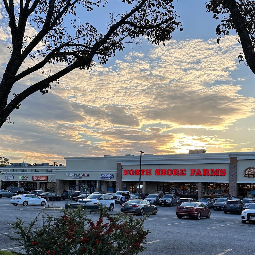 Whitestone Plaza 4