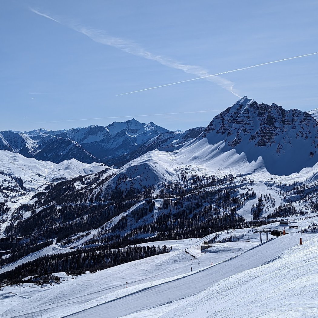 VARS - La Forêt Blanche 1