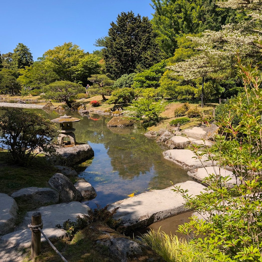 Seattle Japanese Garden 3