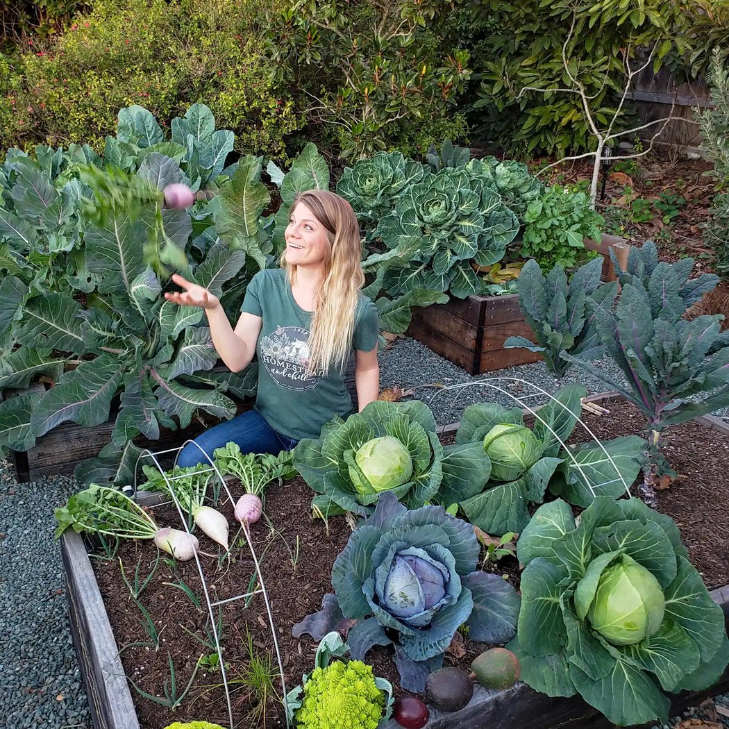 Grow Your Own Seasonal Florida Vegetable Garden 1