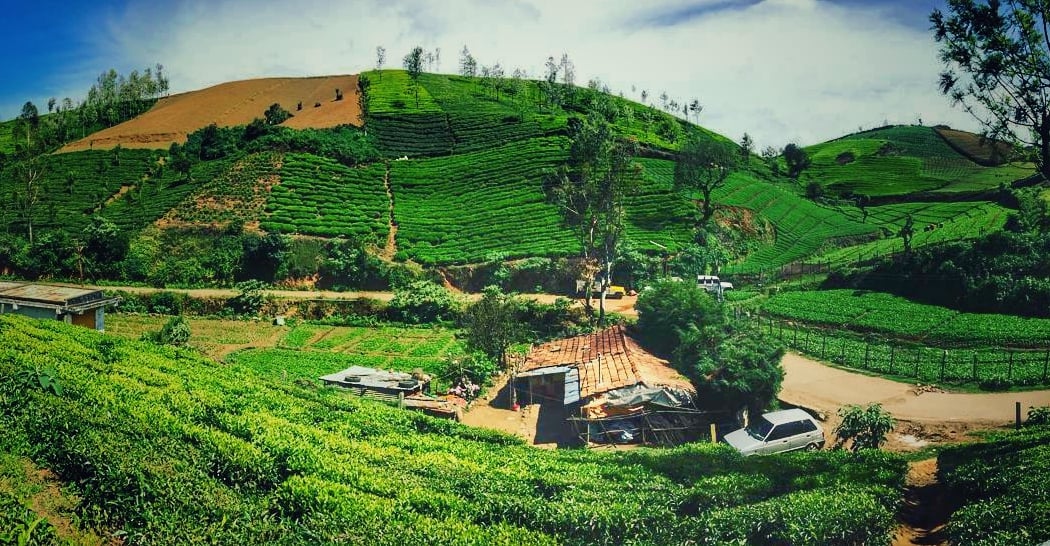 Ooty 3