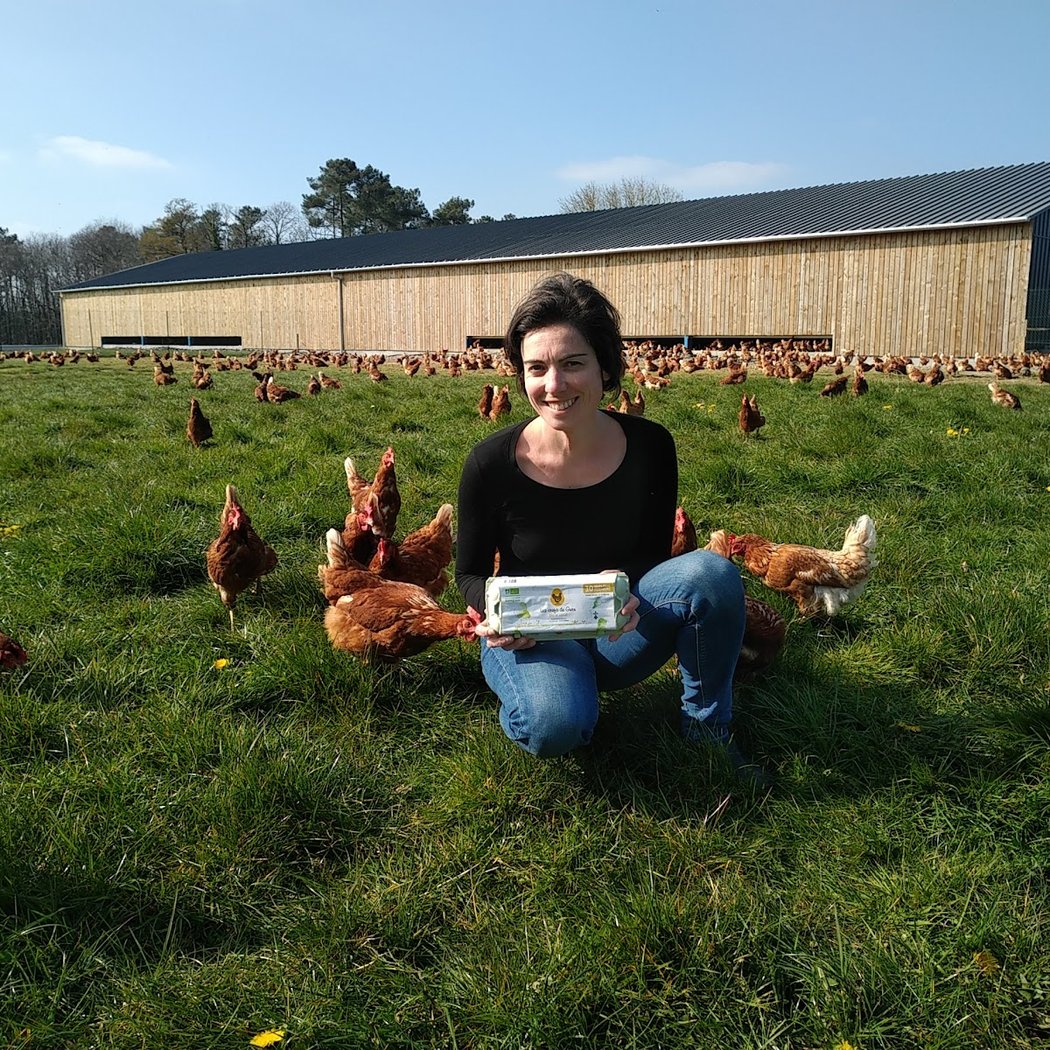 Les oeufs de Gwen by Ferme de la Colunais 2