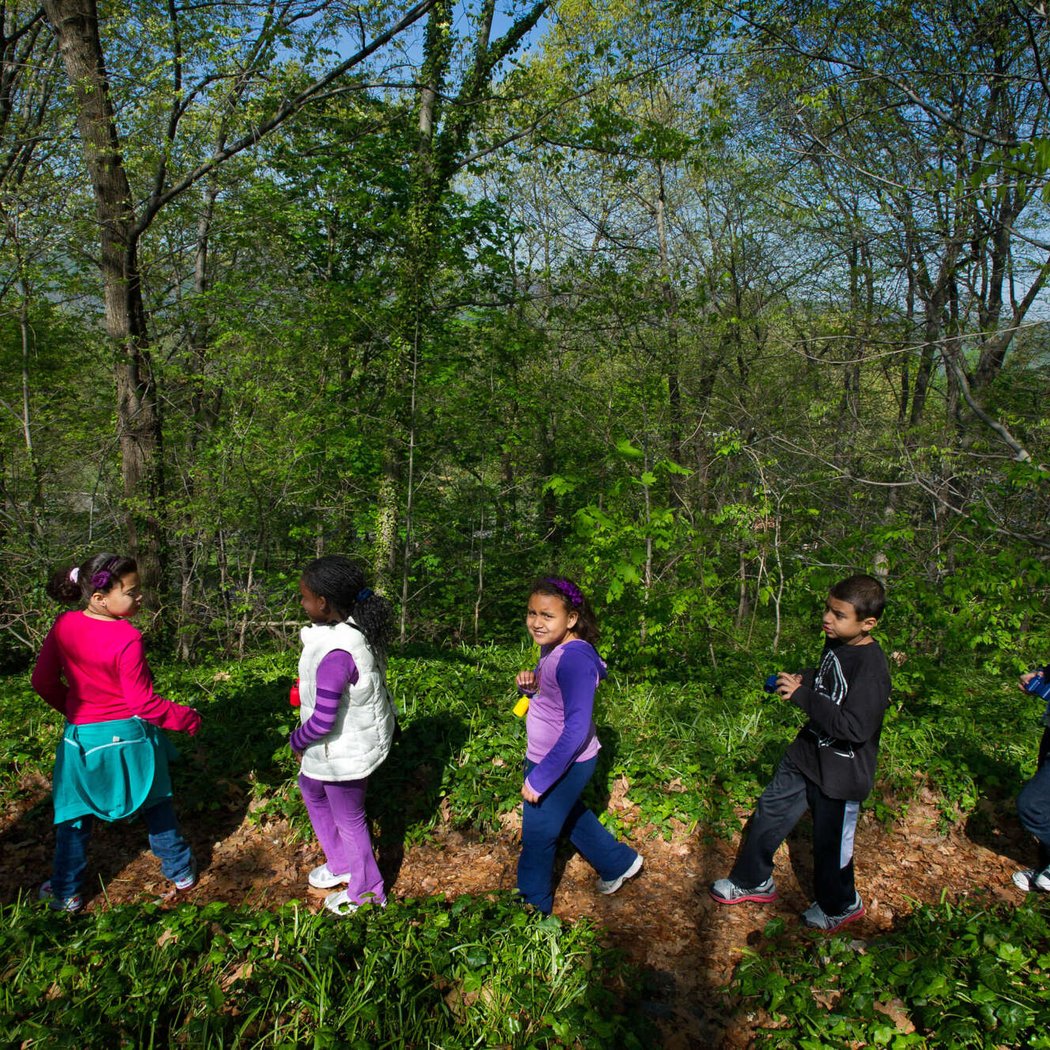 Kids on the Move! Spring Balance 1