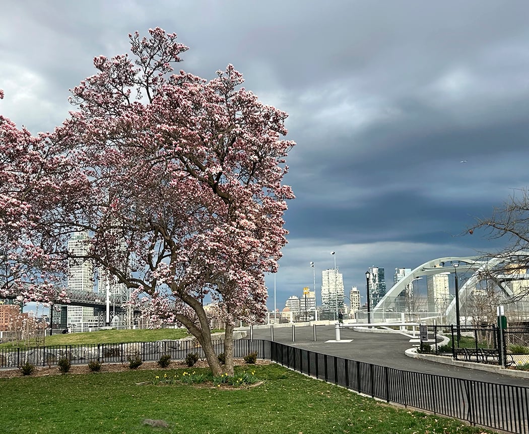 John V. Lindsay East River Park 3