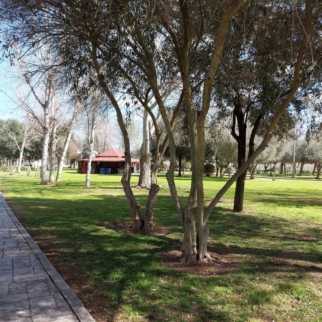 Parque del Majuelo 1