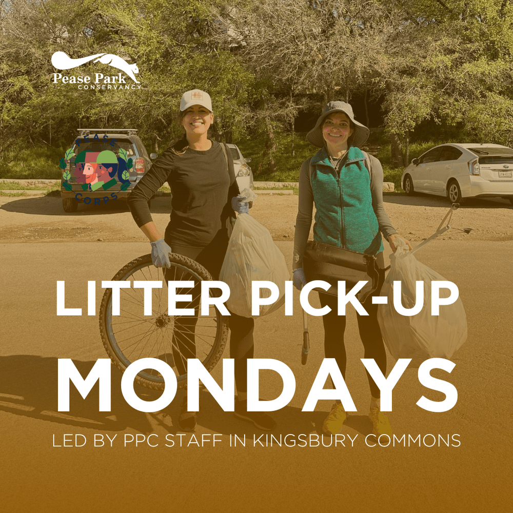 Litter Pick-Up Monday 1