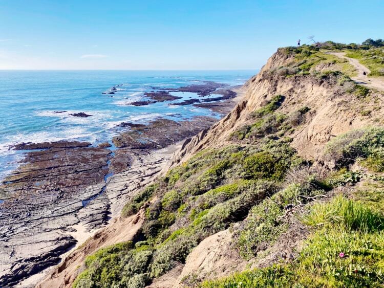 Pillar Point Bluff 3