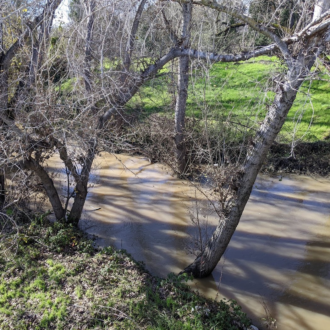 Coyote Creek Trail Head at E. Tasman 3