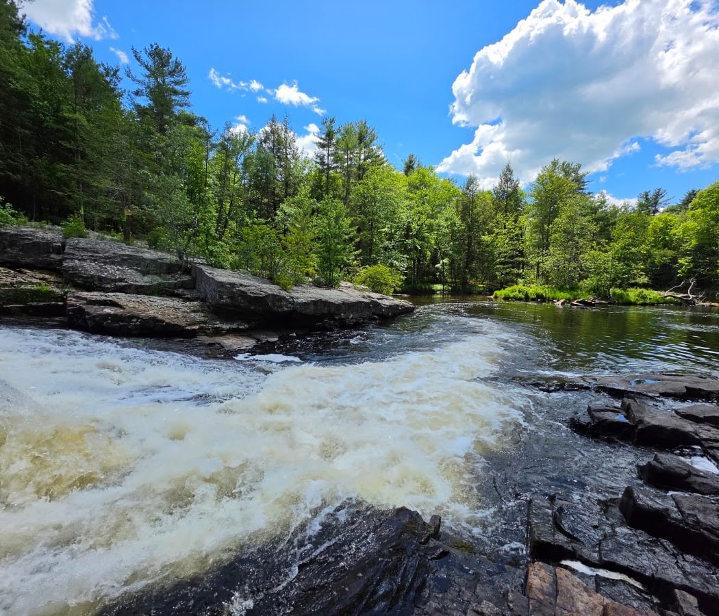 Austin T. Blakeslee Natural Area 1