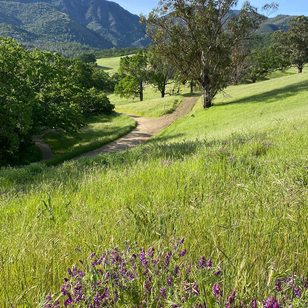 Diablo State Park 1