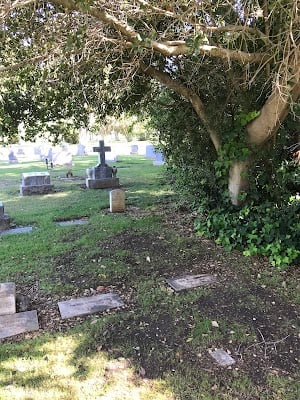 Alta Mesa Memorial Park 2