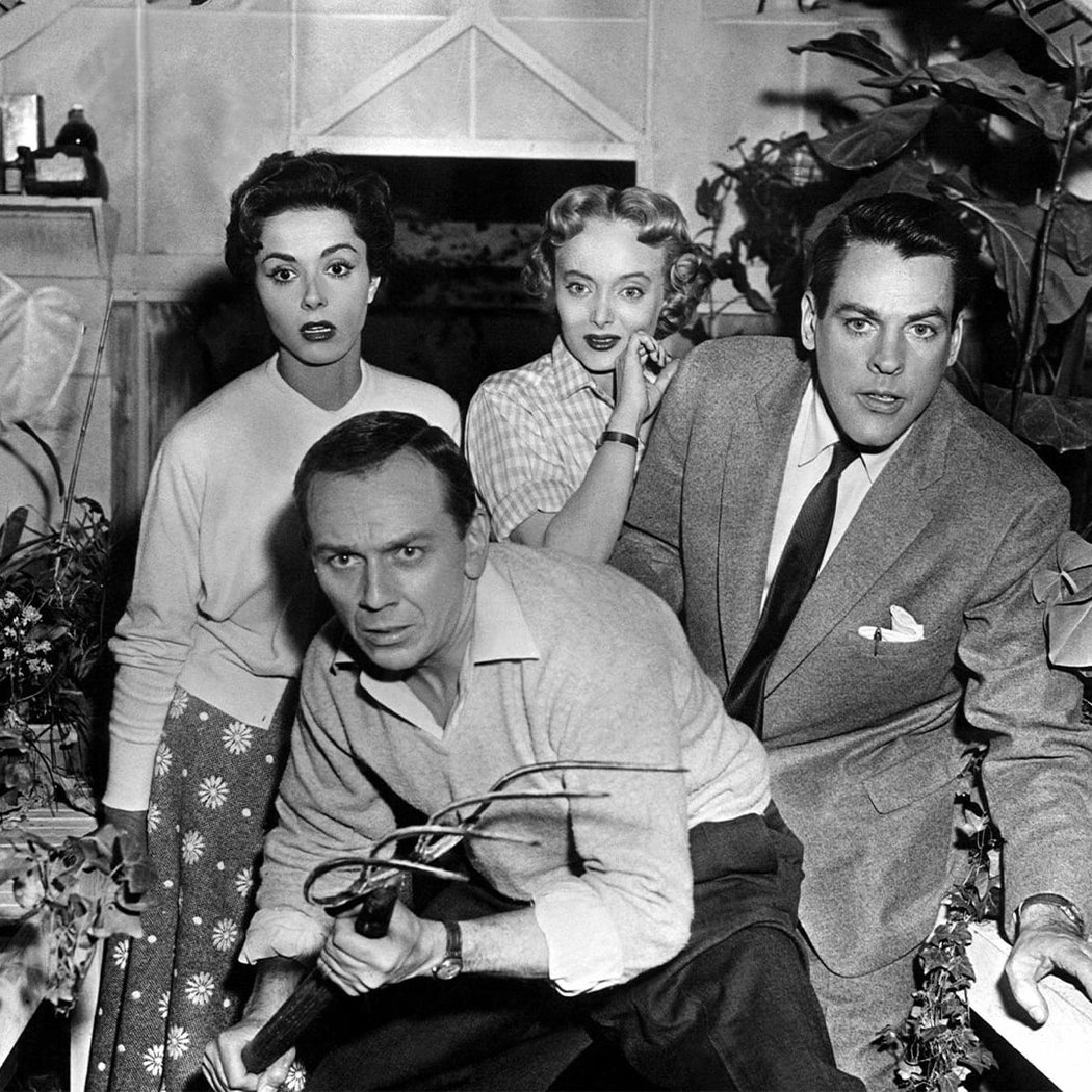 Invasion of the Body Snatchers Movie Night