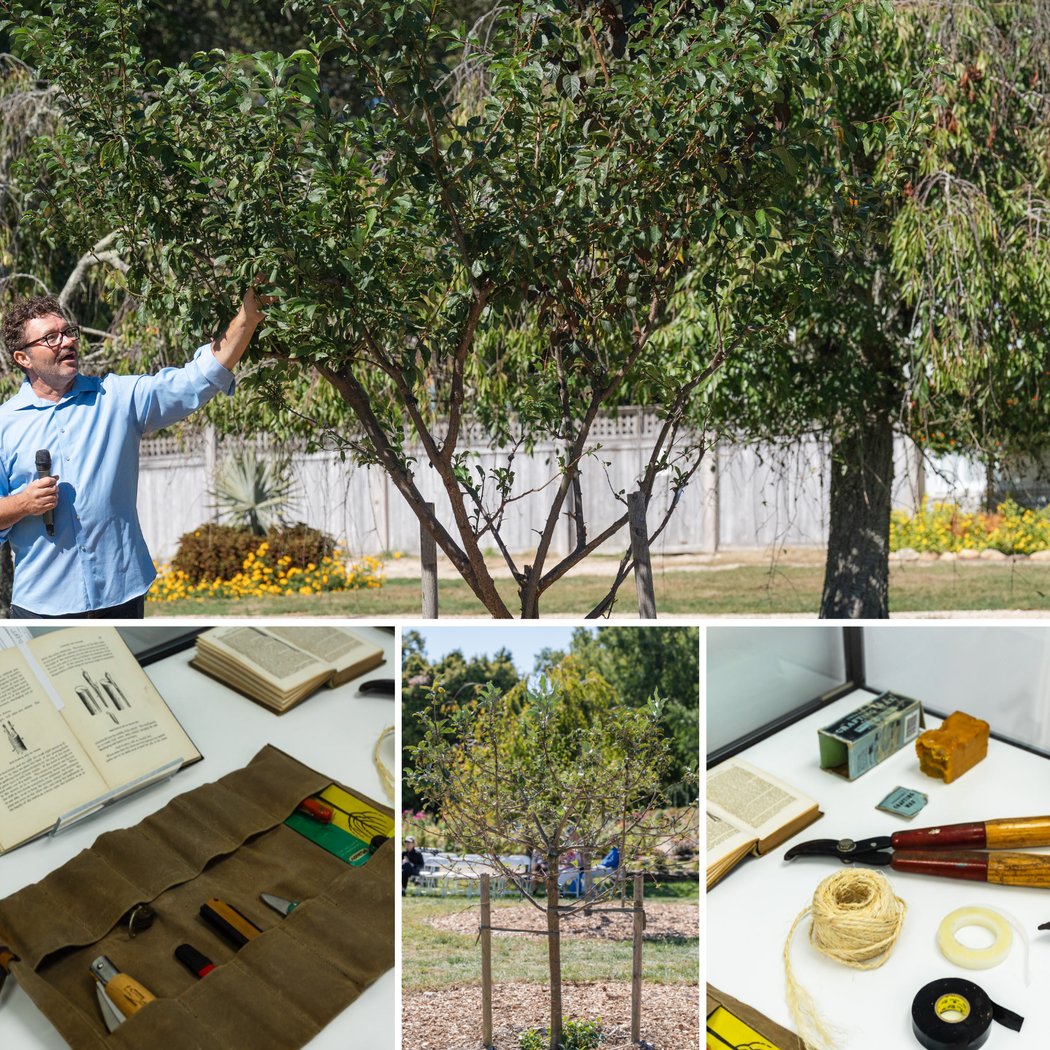 The Art of the Graft: Hands-On Grafting Workshop with Sam Van Aken 1
