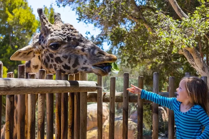 Santa Barbara Zoo 1