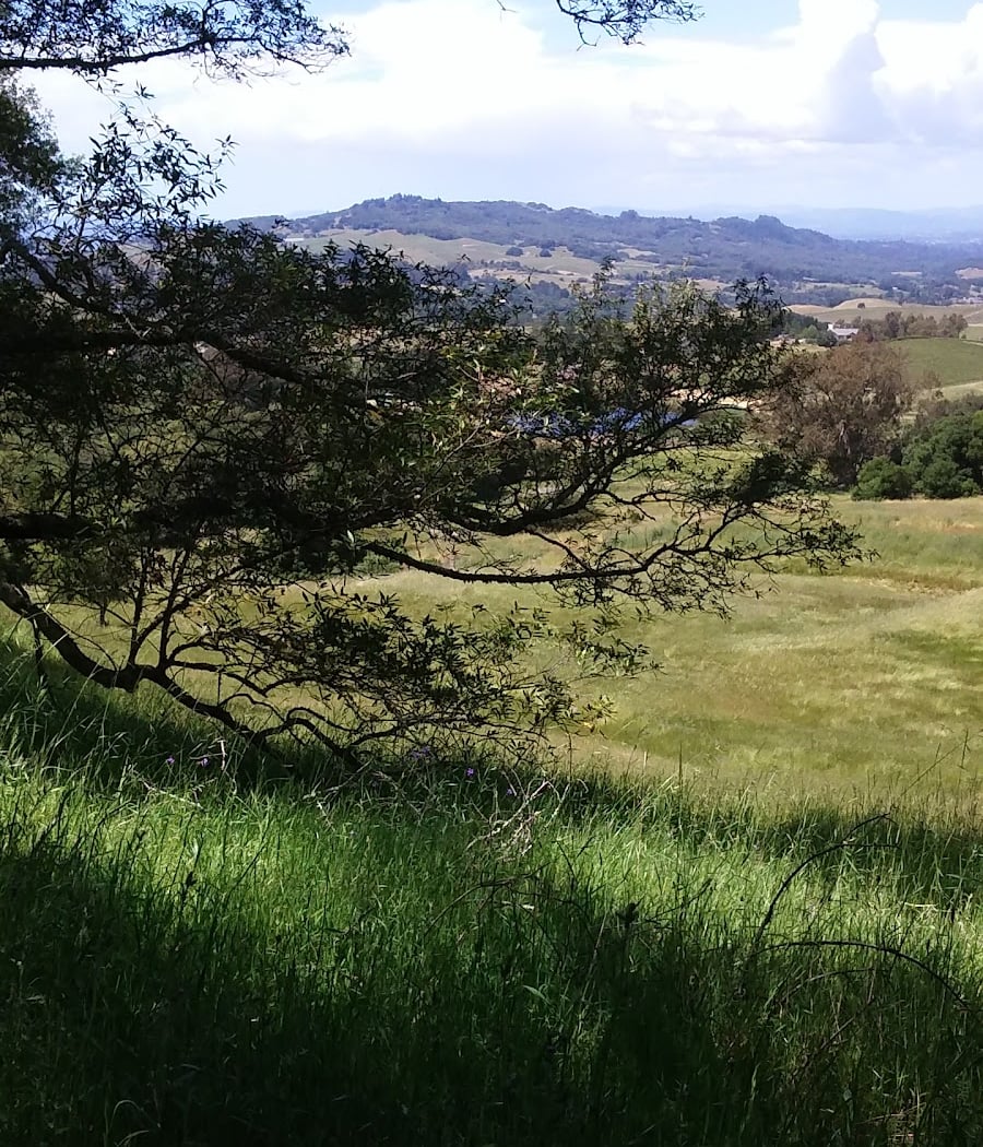 Sonoma Mountain Rd 3