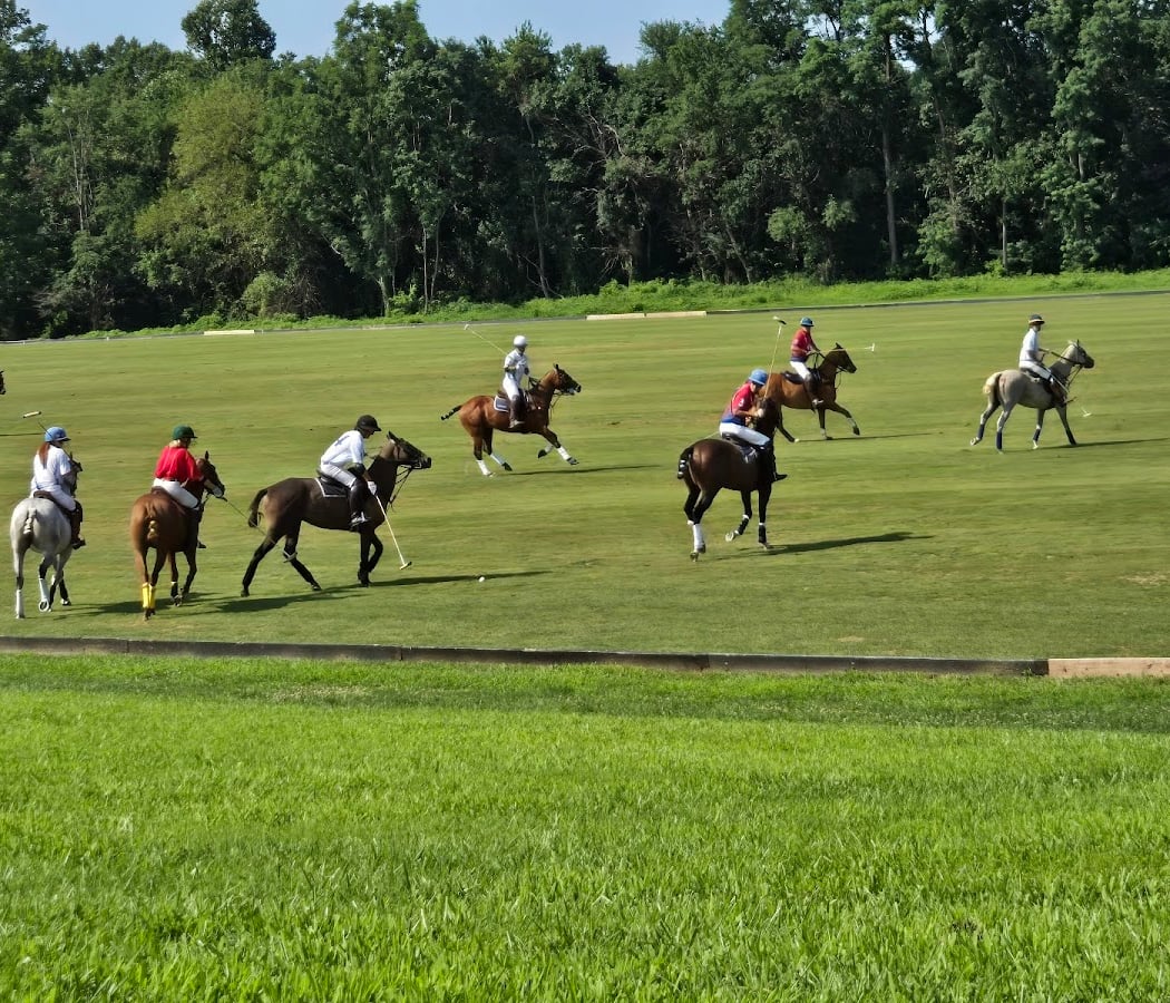 Sunday McHugh 4g Final 1
