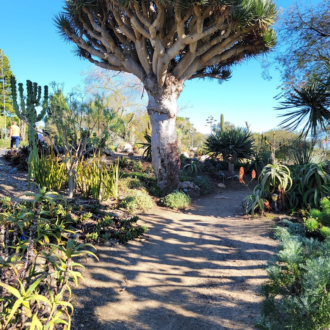 San Diego Botanic Garden 1