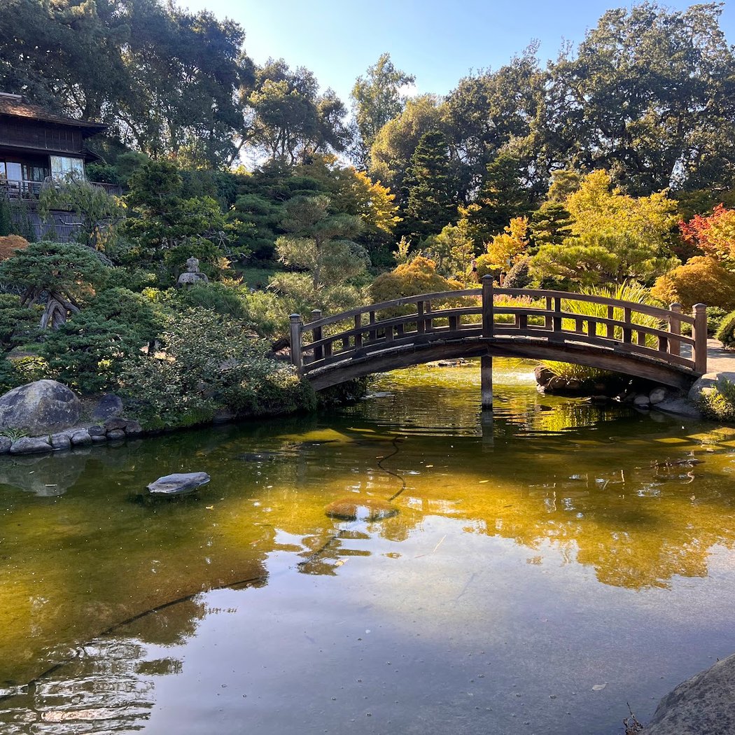 Oshogatsu 2