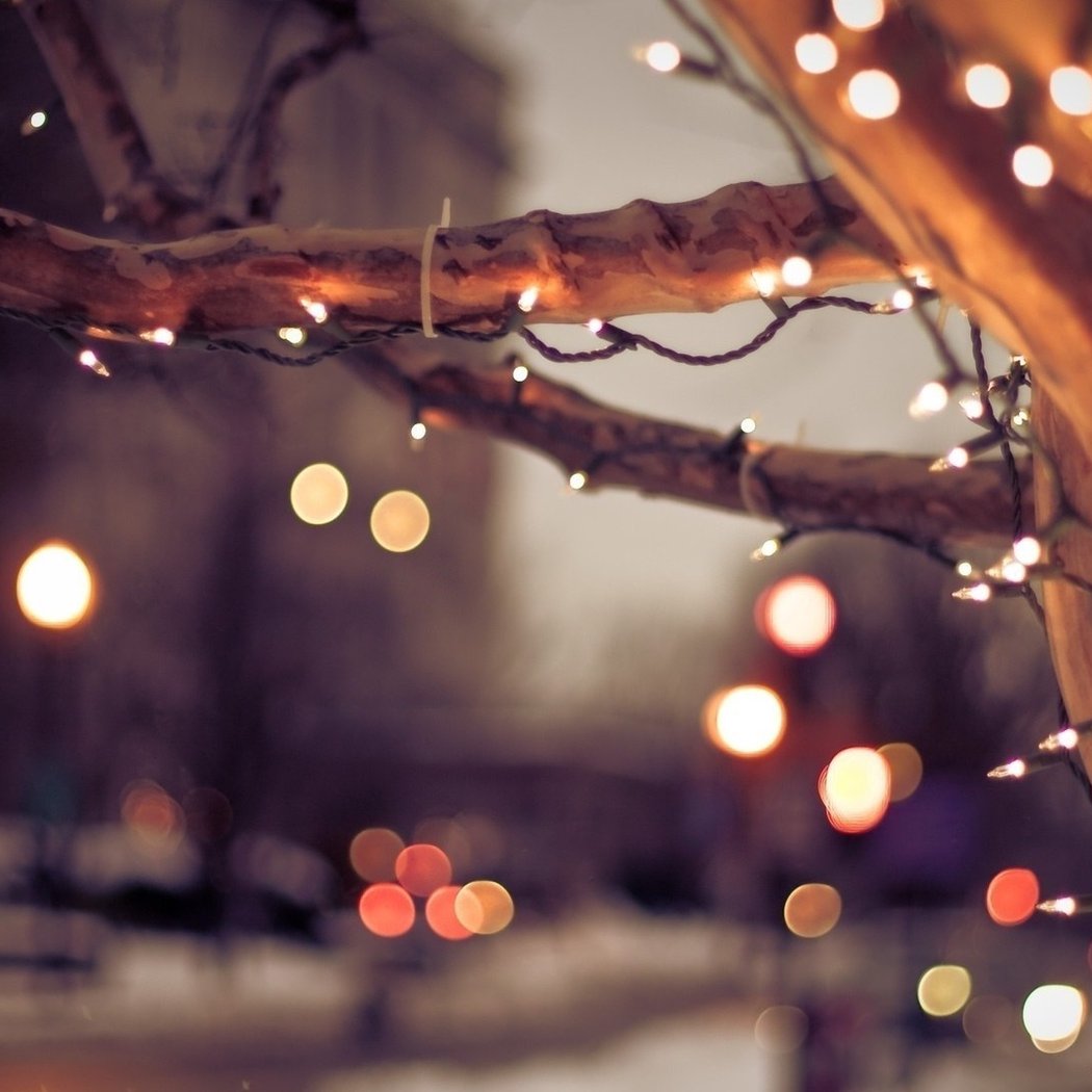 Christmas Light Show 2