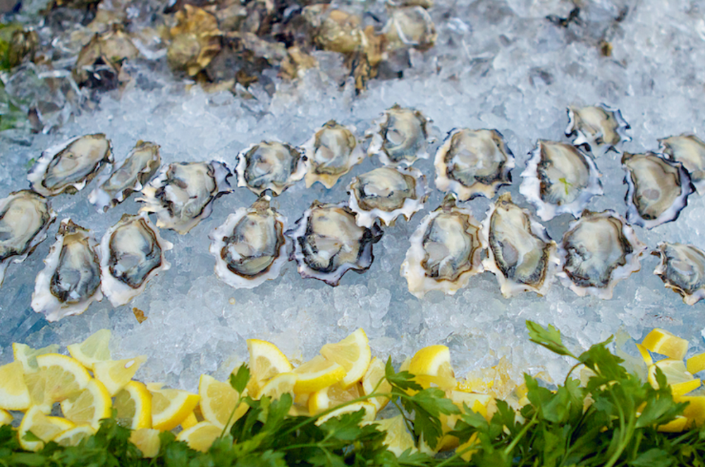 Lo-Fi Oysters, Live Jazz & Wine 1