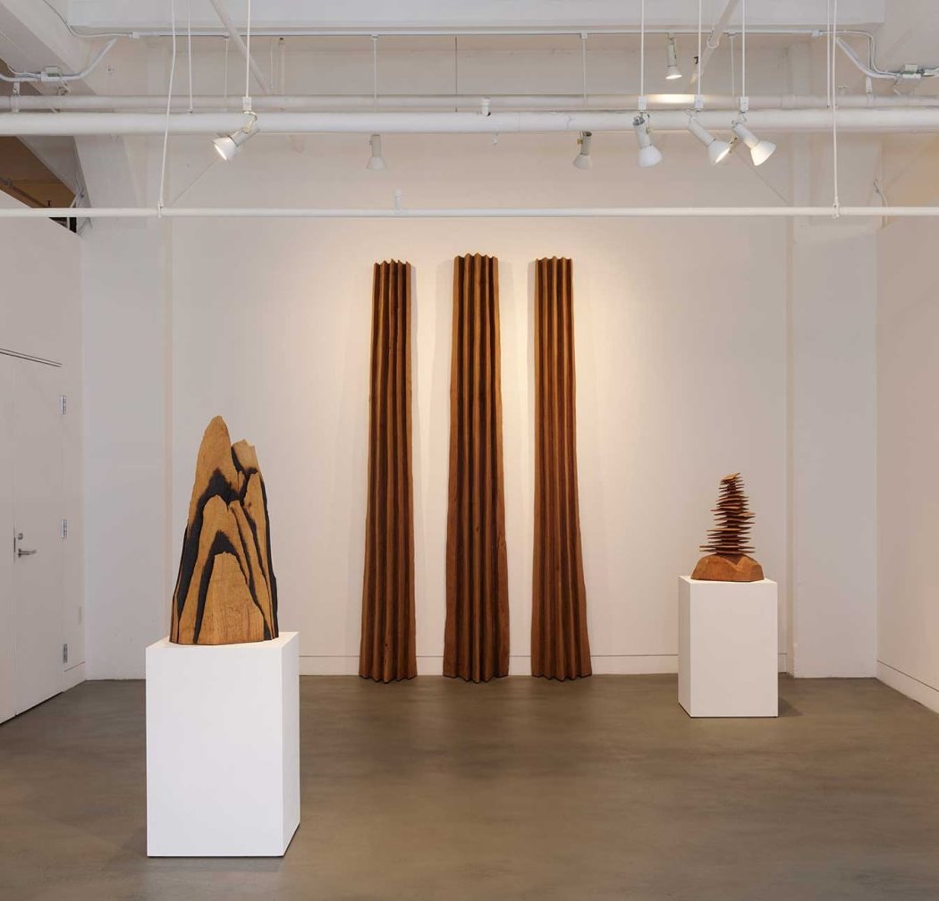 David Nash: Wildwood 2