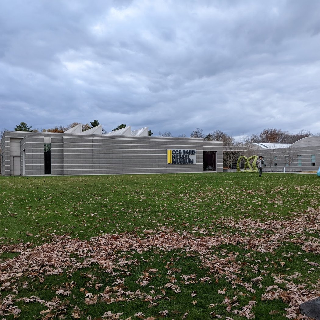 Center for Curatorial Studies and Hessel Museum of Art 3