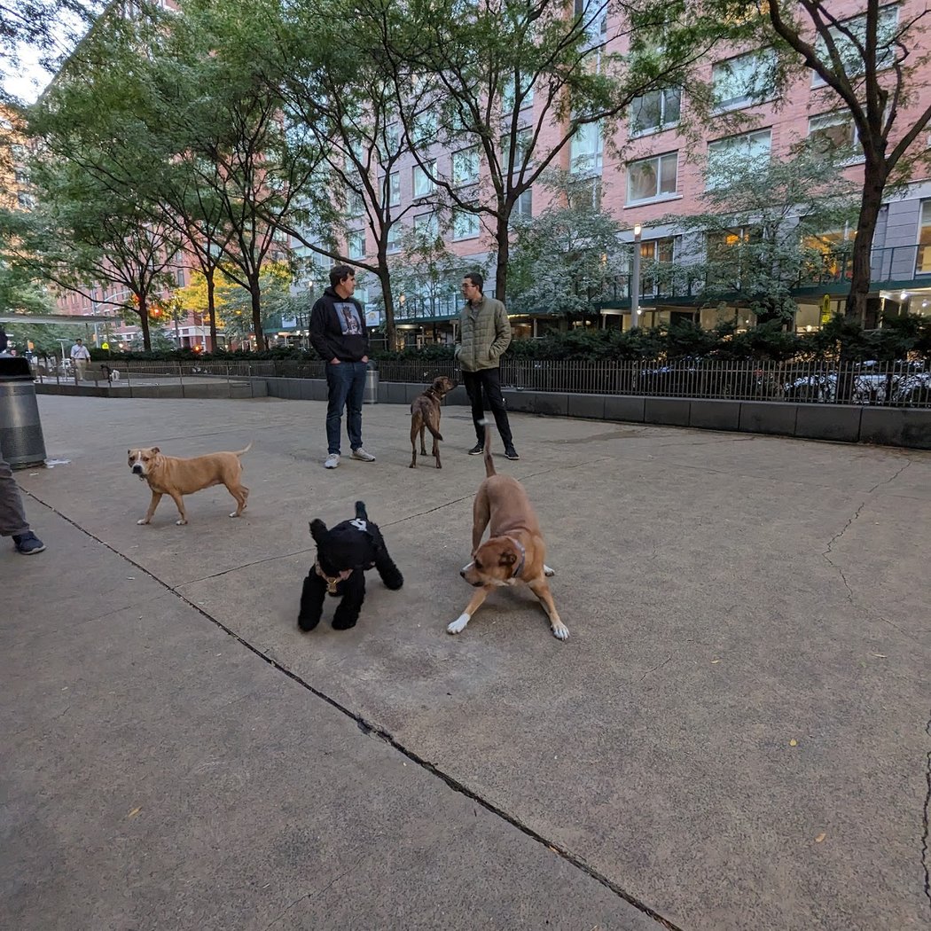 North End Dog Run 1