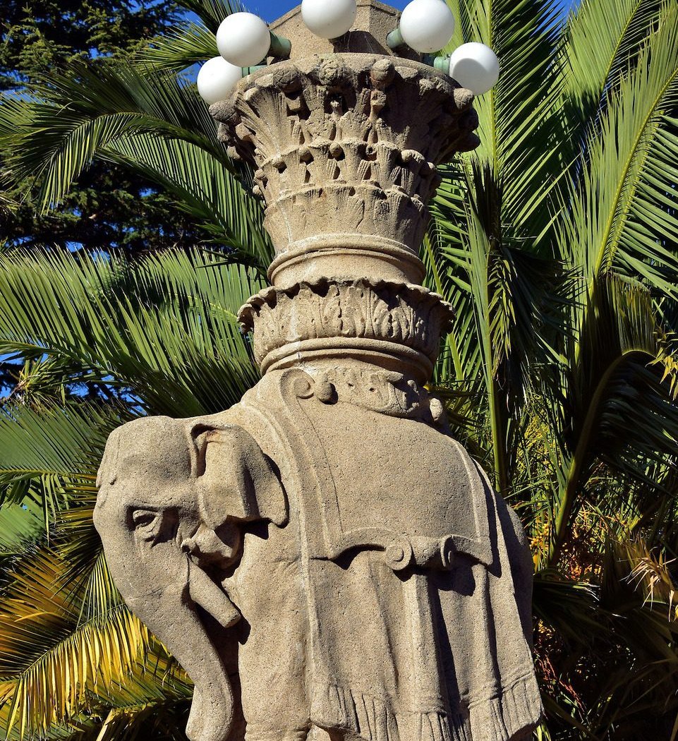 Viña del Mar Park 1