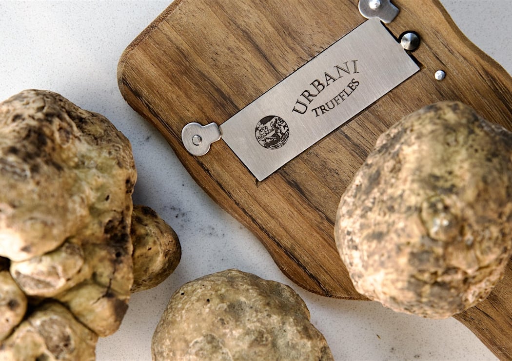 Truffle 101 3