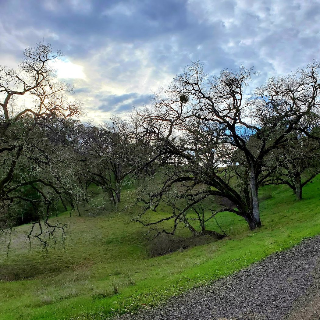 Rim Trail 3