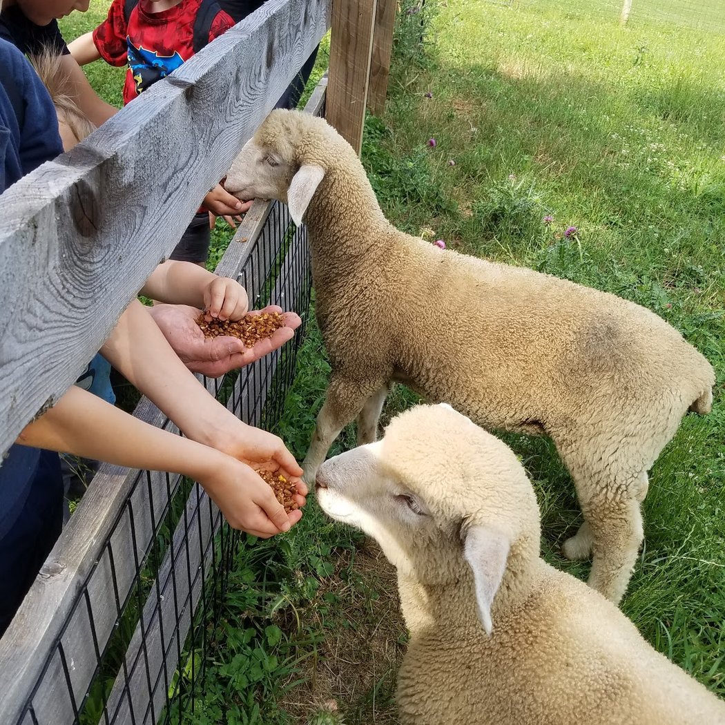 Coverdale Farm Preserve of Delaware Nature Society 3