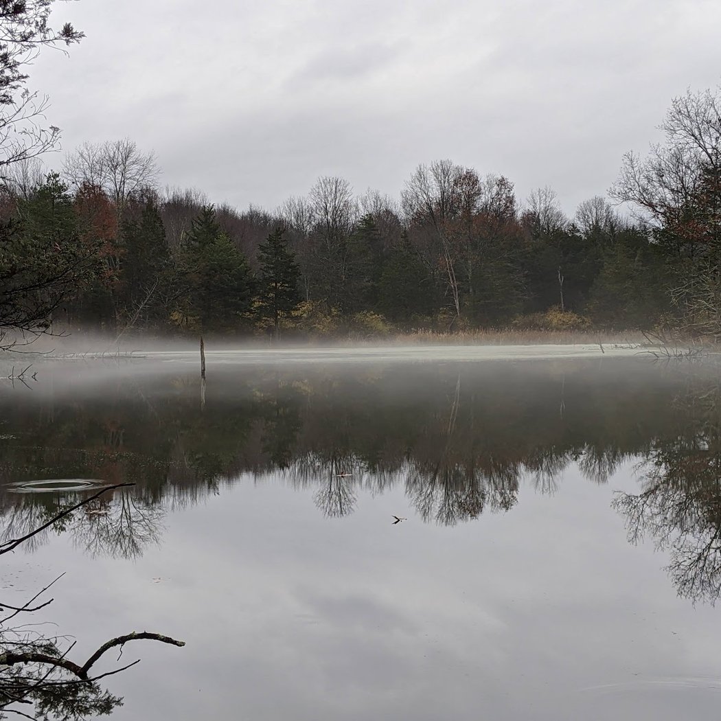 Mill Brook Preserve 1