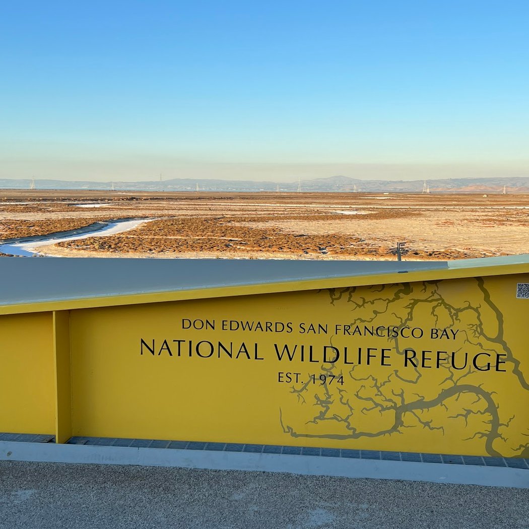 Nature Reservation Bedwell 3