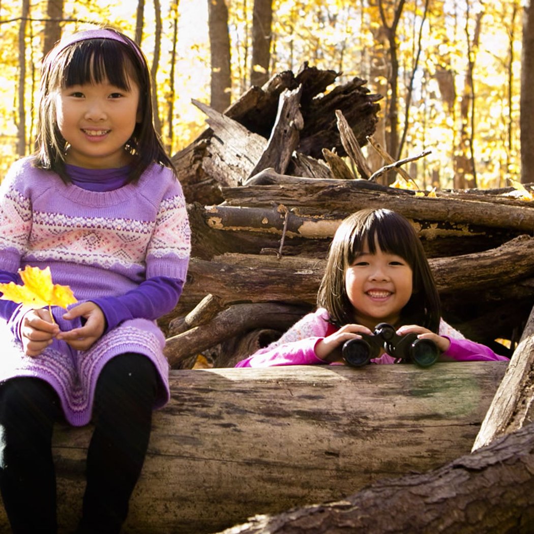 Wee Wonders: Fall Colors