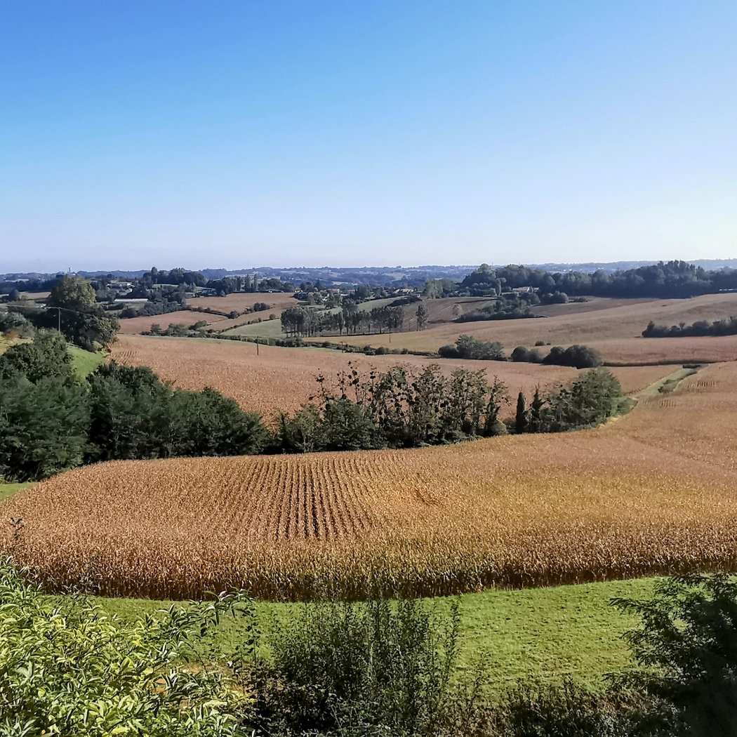 Montfort-en-Chalosse 1