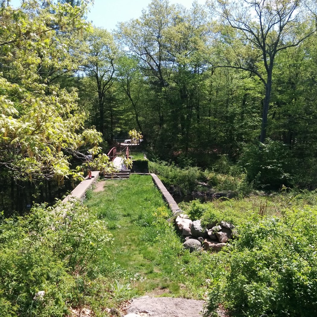 The Nature Conservancy in Connecticut 1