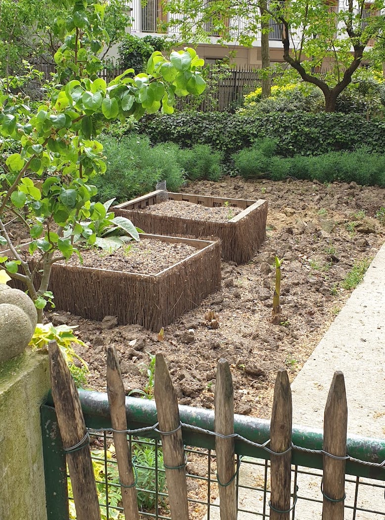 Jardin Michelet 3