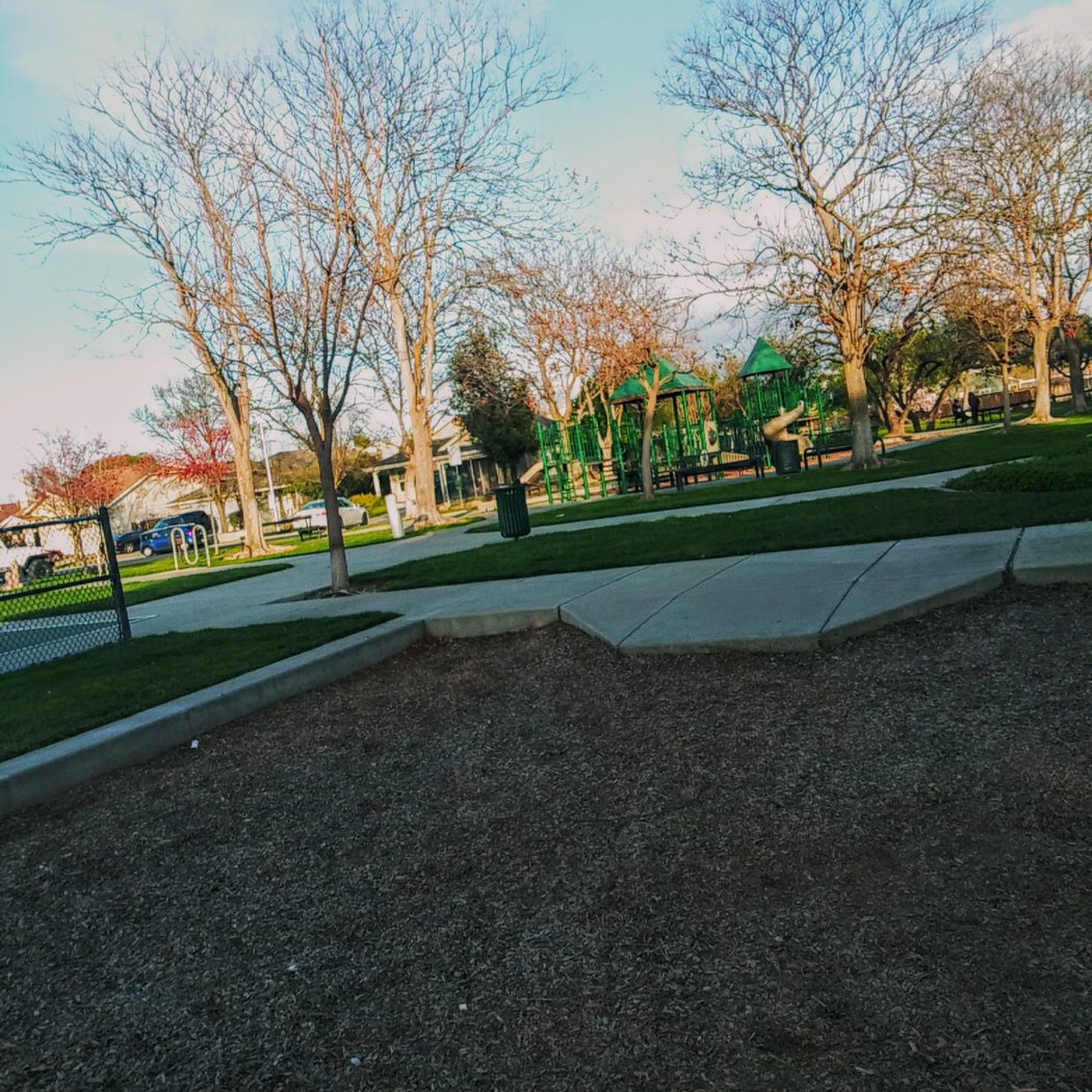 Homecoming Park 2