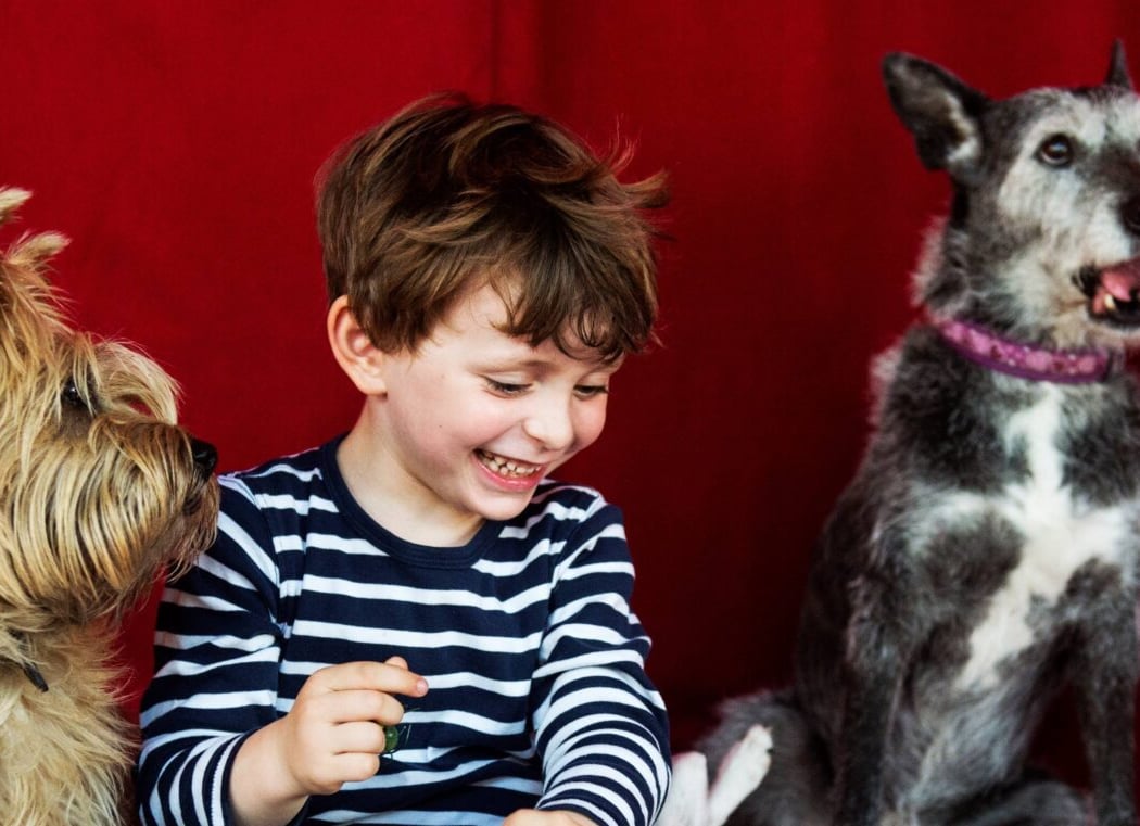 Dans la peau d'un chien 1