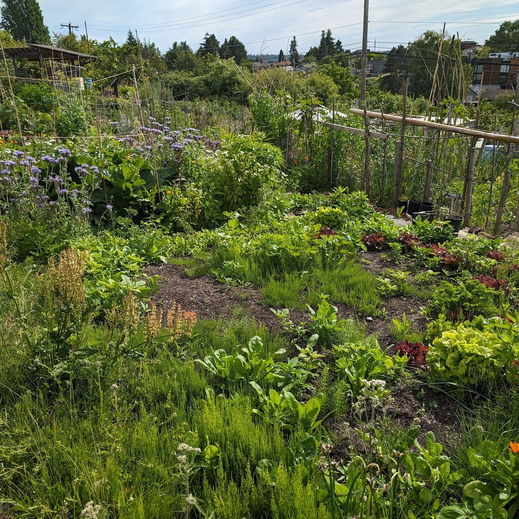 Drop-in Nature Play Days 3