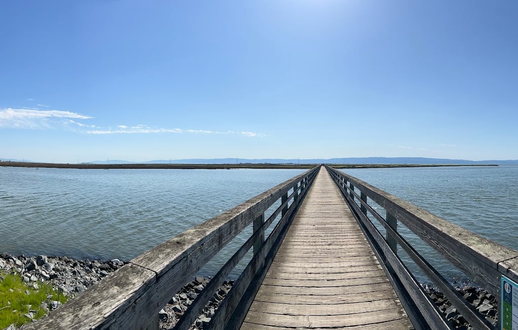 San Lorenzo Trail 1