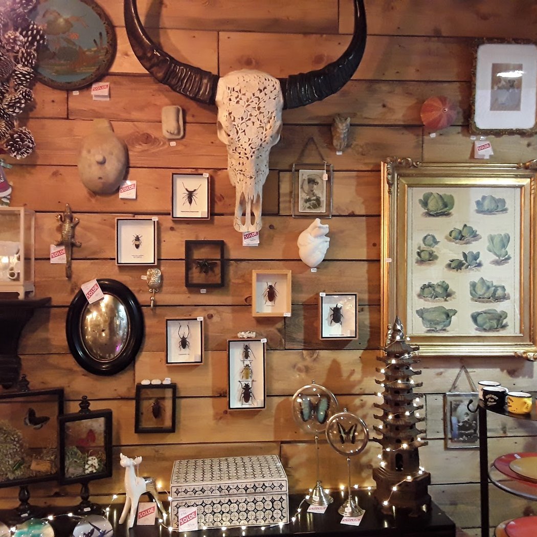 Brocante - Cabinet De Curiosités Xou créations 4