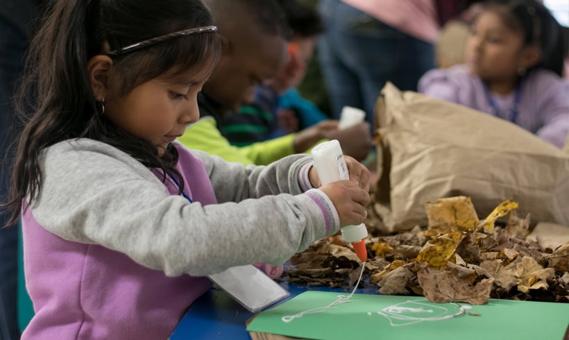 Sunflower Society Planting Artistic Seeds 3