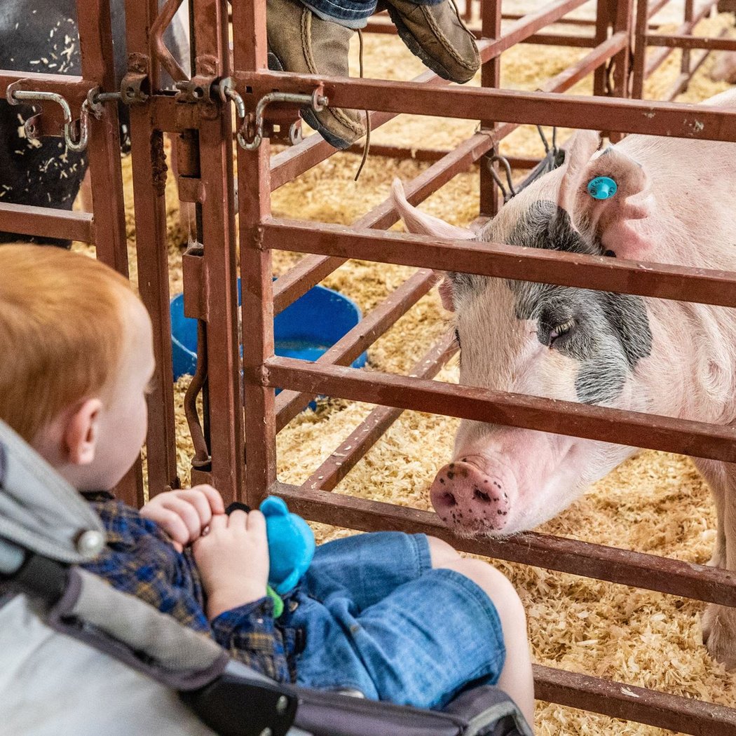 Utah State Fair 2026 2