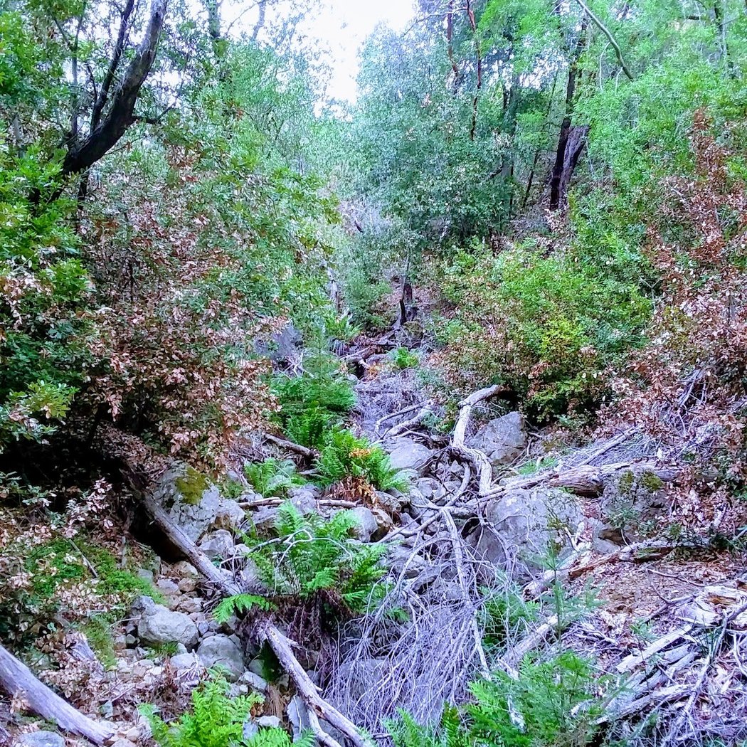Old Railroad Grade Trail 2